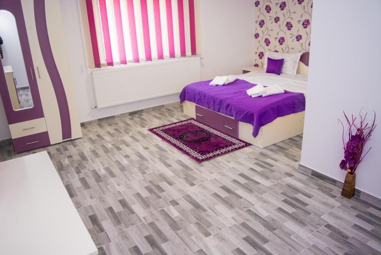 Casa Erk Bed & Breakfast Călimăneşti Eksteriør bilde