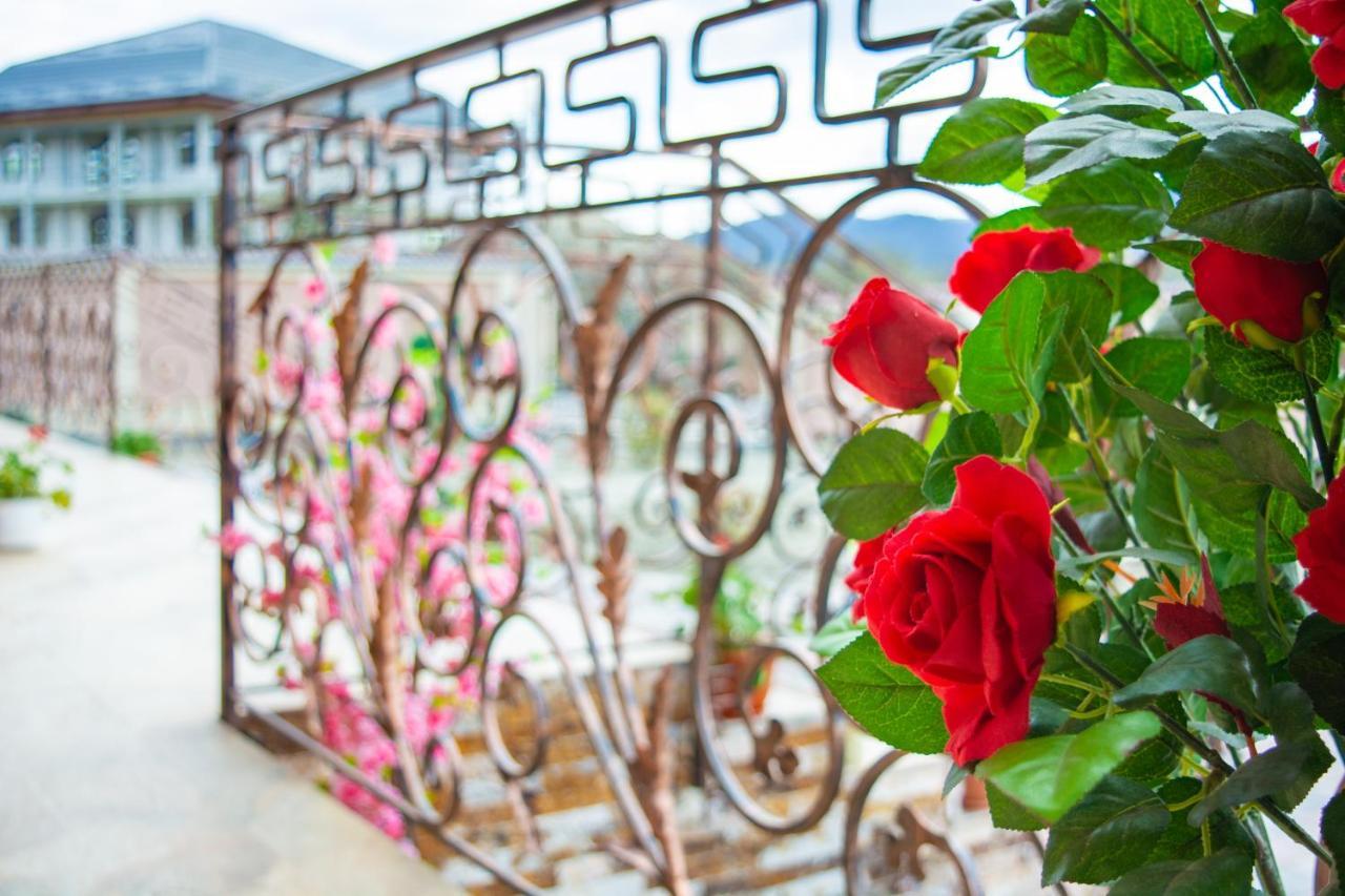 Casa Erk Bed & Breakfast Călimăneşti Eksteriør bilde