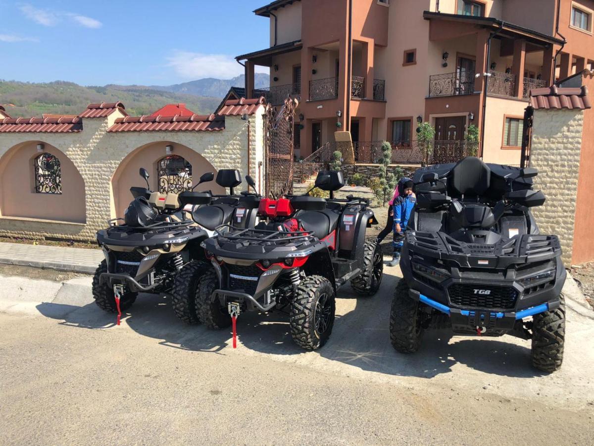 Casa Erk Bed & Breakfast Călimăneşti Eksteriør bilde